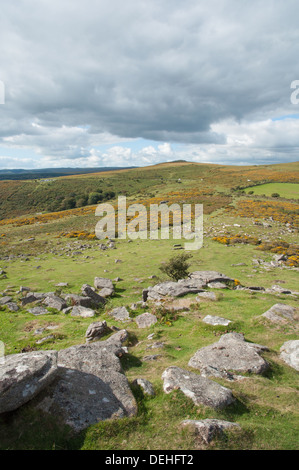 Vue sur le Dartmoor de Sharp vers Tor Tor Yar sur rocky clitter et les ajoncs en fleurs Banque D'Images