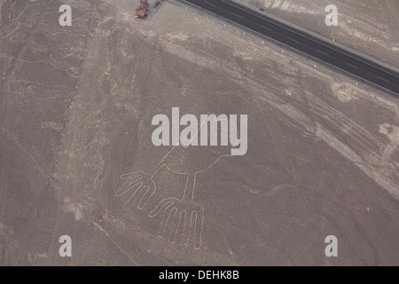 Mains les lignes de Nazca, Pérou Banque D'Images