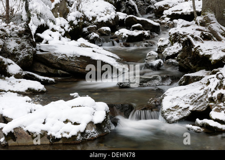 Ruisseau de montagne avec de petites chutes d'eau en hiver. Banque D'Images