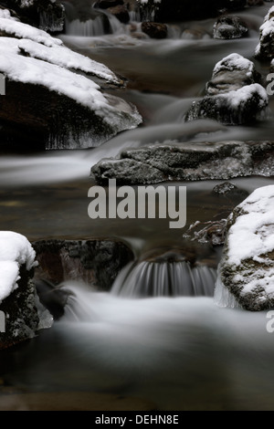 Ruisseau de montagne avec de petites chutes d'eau en hiver. Banque D'Images