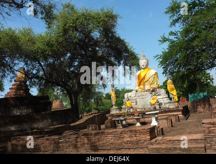 Statue de Bouddha du Wat Pho, Ayutthaya, Thaïlande Wora Banque D'Images