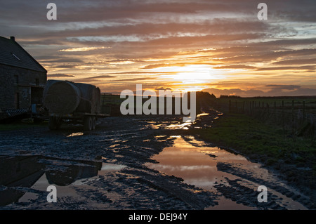 Coucher du soleil d'hiver sur une cour boueuse à Caithness, prise près du village de Mey, Caithness, Ecosse, Royaume-Uni Banque D'Images