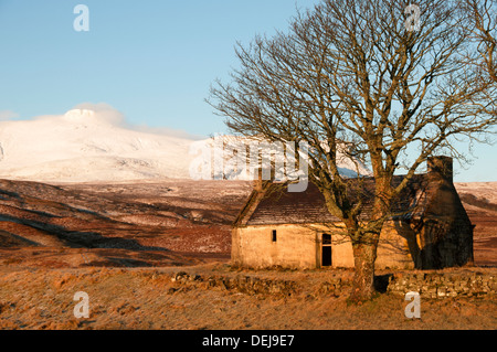 Ben loyal de la maison abandonnée au Lettermore, Loch Loyal, près de langue, Sutherland, Scotland, UK Banque D'Images