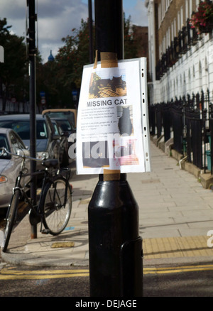 Chat manquant poster dans London street Banque D'Images