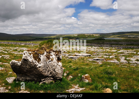 Vue sur la chaussée calcaire à Langscar près de Malham Tarn, Yorkshire Dales National Park, Angleterre Banque D'Images