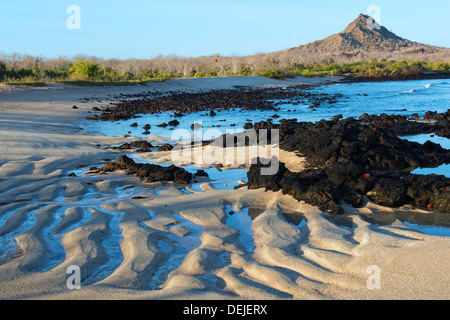 Dragon Hill, l'île de Santa Cruz, Galapagos, Equateur Banque D'Images