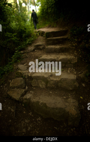 Un laissez-passer touristique un escalier en pierre dans le Parc Naturel Sierra de Grazalema, dans la Huerta de Benamahoma, Cadix, Andalousie Banque D'Images