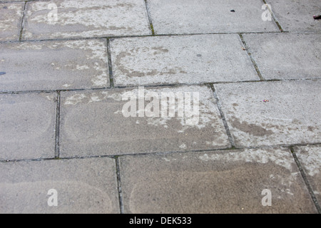 Trottoir de béton avec de l'eau patch Banque D'Images