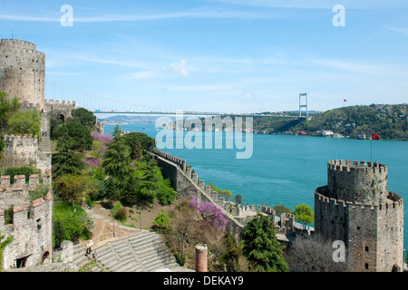 Istanbul, Sariyer, Rumelihisar, im Frühling blühen die Judasbäume Banque D'Images