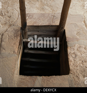Échelle en bois dans la chambre, Mesa Verde National Park, Colorado, United States Banque D'Images