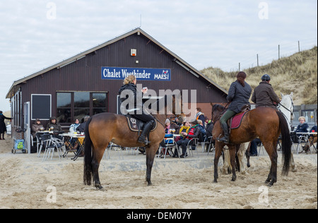 Chevaux sur la plage Banque D'Images