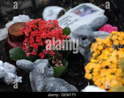 Tombes des animaux sont représentés au cimetière pour animaux à Berlin, Allemagne, 18 septembre 2013. Photo : Britta Pedersen Banque D'Images