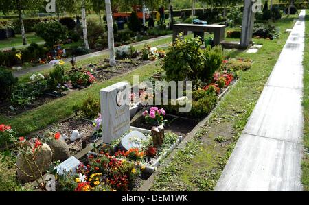 Tombes des animaux sont représentés au cimetière pour animaux à Berlin, Allemagne, 18 septembre 2013. Photo : Britta Pedersen Banque D'Images