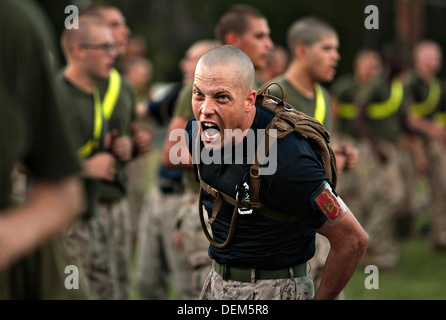 US Marine Corps percer le Sgt instructeur. William Loughran crie à recrues au cours de l'entraînement physique au Marine Corps Recruter Depot 18 septembre 2013 sur l'Île Parris, L.C. Banque D'Images