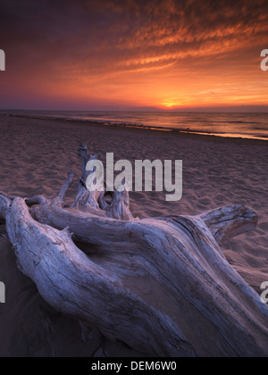 Driftwood sur une rive du lac Huron avec beau coucher de soleil rouge au-dessus de lui, l'heure d'été nature paysage paysages Banque D'Images