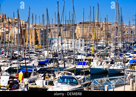 Yachts à marina, Mdina, Malte. Banque D'Images