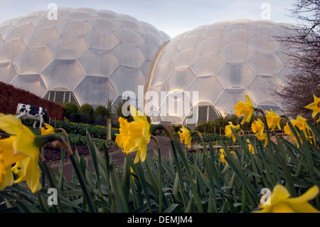 Eden Project,Cornwall,UK,une série de biodomes artificiel avec des collections de plantes,arbres,fleurs de partout dans le monde tropical inc. Banque D'Images