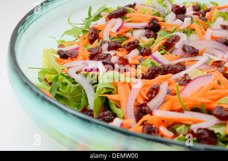 Salade colorée mixtes de cranberry et de carottes avec feuilles de laitue et de bébé Banque D'Images