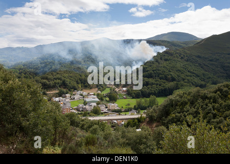 Gravure de forêt près du Castillo de Saracin dans le village de Vega de Valcarce - province de León, Castille et León, Espagne Banque D'Images