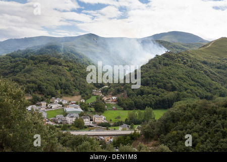 Gravure de forêt près du Castillo de Saracin dans le village de Vega de Valcarce Banque D'Images