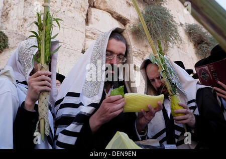 Israël, Jérusalem. 22 août, 2013. Les Juifs orthodoxes tenant des feuilles de palmier de cérémonie et des saules sur la Soukkot Fête des Tabernacles au Mur Occidental ou Kotel dans la vieille ville de Jérusalem-Est Israël le 22 septembre 2013. Des dizaines de milliers de fidèles de monde le Kotel (mur occidental) plaza pour les prières du matin, le cinquième jour de la fête de Souccot. Le service a vu des milliers de kohanim - membres de la famille sacerdotale d'Israël - bénir la foule rassemblée dans un spectacle de l'unité et de célébration. Photographe : Eddie Gerald/Alamy Live News Banque D'Images