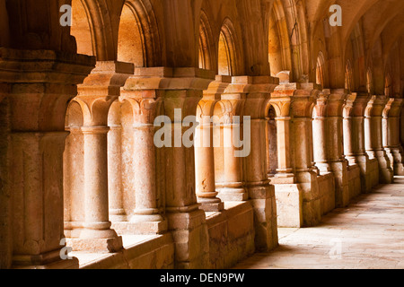 Le cloître de l'abbaye de Fontenay dans la zone de Côte d'Or de la Bourgogne. C'est un site du patrimoine mondial de l'UNESCO. Banque D'Images