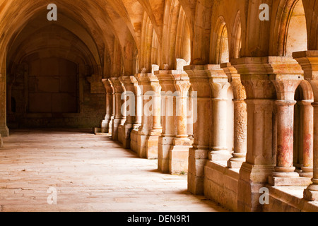 Le cloître de l'abbaye de Fontenay dans la zone de Côte d'Or de la Bourgogne. C'est un site du patrimoine mondial de l'UNESCO. Banque D'Images