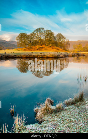 Elter water,lake District, Cumbria, Angleterre, Royaume-Uni, Europe Banque D'Images
