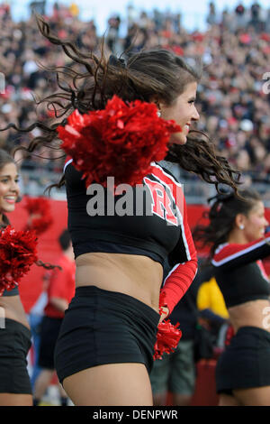 Piscataway, New Jersey, USA. 21e Août, 2013. 21 septembre 2013 : Le Rutgers Scarlet Knights dance squad effectuer pendant le jeu entre l'Arkansas et Rutgers Scarlet Knights Craftsman aspirateur avale à Highpoint Solutions Stadium à Piscataway, New Jersey Rutgers Scarlet Knights a défait l'Arkansas 28-24 Craftsman aspirateur avale-tout. © csm/Alamy Live News Banque D'Images