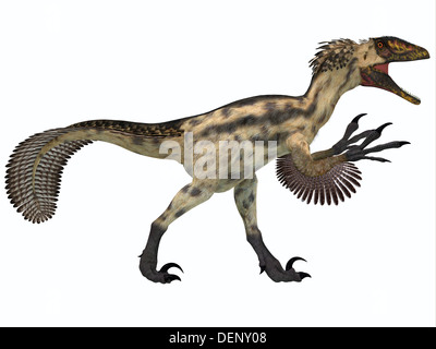 Aphrodite est un dinosaure carnivore du début du Crétacé. Banque D'Images
