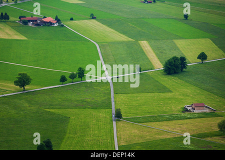 Photographie d'areal lire crossing, champs verts de rayures, arbres et maisons près de château de Neuschwanstein en Allemagne Banque D'Images