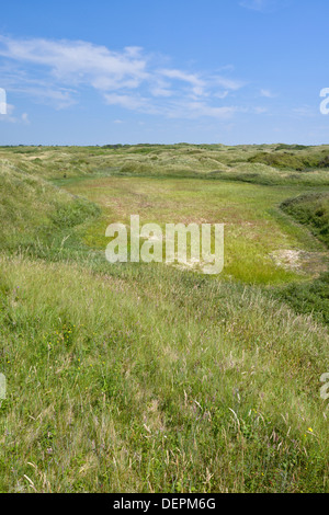 Lettes de dunes à Kenfig Nature Reserve, dans le sud du Pays de Galles Banque D'Images