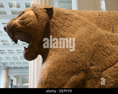 Le British Museum, Londres - lion ailé assyrien colossal Banque D'Images