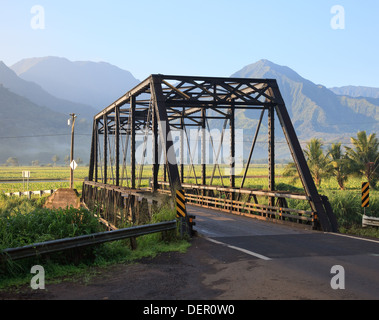 Pont d'Hanalei Hanalei près avec les montagnes de Na Pali en arrière-plan, New York Banque D'Images