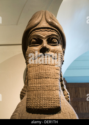 Le British Museum, Londres - assyrienne à tête humaine lion ailé Banque D'Images