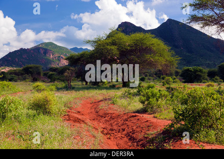 Route de terre à Tsavo West National Park, Kenya, Africa Banque D'Images