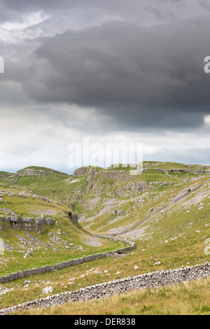 Malham Lings de dessus Malham Cove, dans le Yorkshire Dales National Park, North Yorkshire, England, UK Banque D'Images