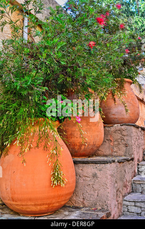 Vases en terre cuite avec des fleurs couleurs de la provence france Banque D'Images