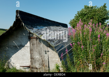 Une cabane de pêcheur fait d'un vieux bateau retourné sur l'Île Sainte, Northumberland, Angleterre Banque D'Images