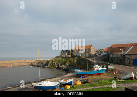 Bateaux dans le port de Craster, Alnwick, Northumberland, Angleterre Banque D'Images