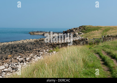 Un sentier côtier près de Newton basse-sur-la-Mer, Northumberland, Angleterre Banque D'Images