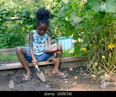Fille noire de New Haven plantation pratiques la laitue à un terrain d'école secondaire, une charte environnementale à l'école. Banque D'Images