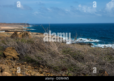 Le Parc national Arikok piscine naturelle. Banque D'Images