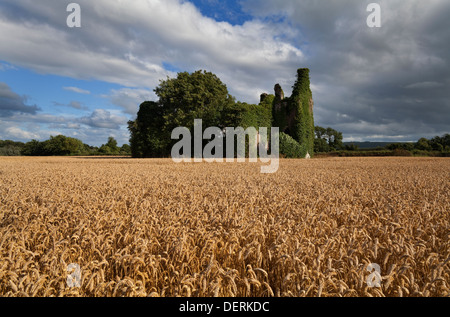 Norrisland château construit peu avant 1600 et ayant appartenu à la renommée de guérisseur du 17ème siècle - Valentine Greatrakes, comté de Waterford, Irlande Banque D'Images