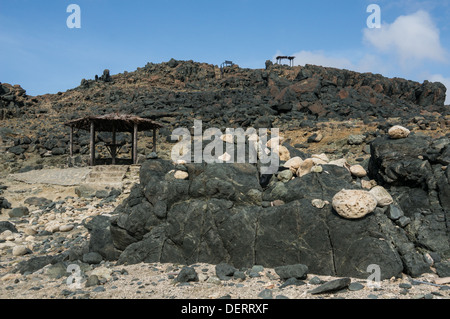 Le Parc national Arikok piscine naturelle. Banque D'Images