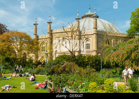 Musée de Brighton, Brighton, East Sussex, Angleterre Banque D'Images