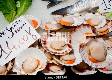 Les pétoncles, le marché aux poissons à Ponte di Rialto, Venise, Vénétie, Italie, Europe Banque D'Images