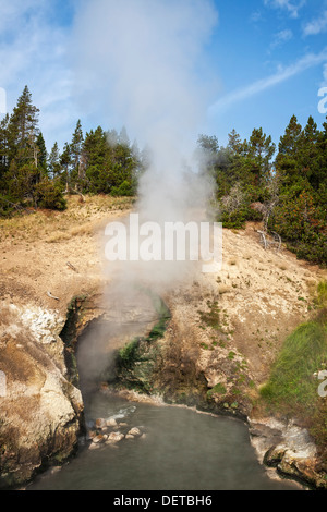 L'augmentation de vapeur à partir de la bouche du Dragon au printemps dans le Parc National de Yellowstone, Wyoming Banque D'Images