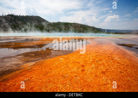 Tapis de bactéries colorées entourant Grand Prismatic Spring, Midway Geyser Basin, Parc National de Yellowstone, Wyoming Banque D'Images