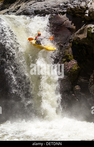 Un kayakiste dans un kayak jaune vif et un casque orange navigue dans une cascade raide et turbulente. La personne pagaie activement avec une pagaie orange, entourée d'eau vive et d'éclaboussures Banque D'Images